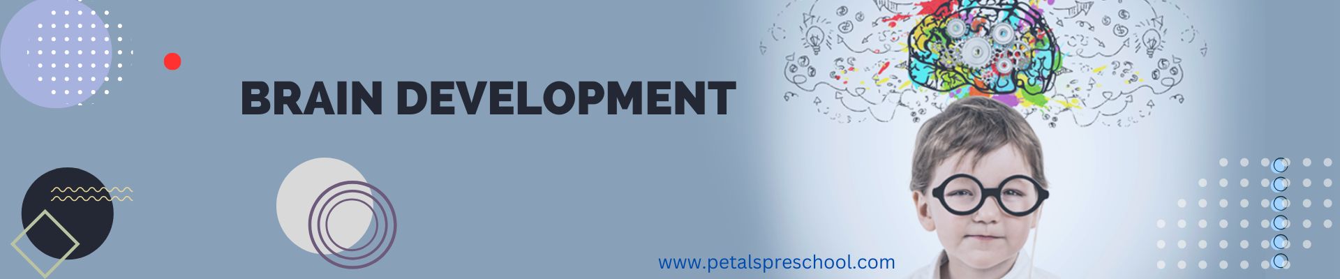  The Critical Period of Brain Development